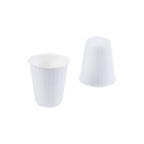 Eco Friendly Disposable & Biodegradable Hot Cup